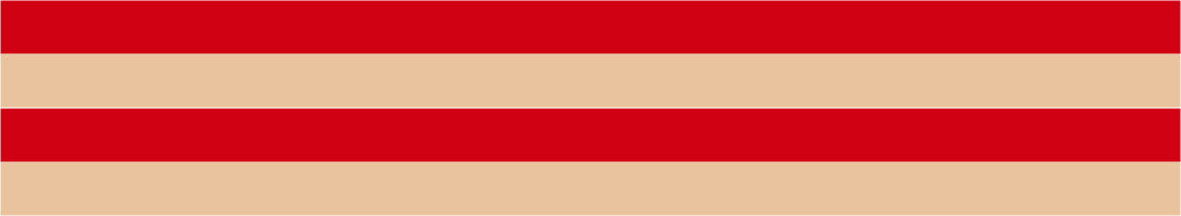 Horizontal colored decorative bars